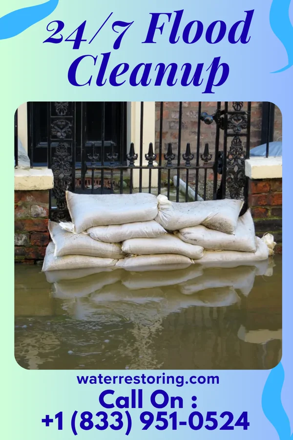 24/7 Flood Cleanup in Welcome, MN