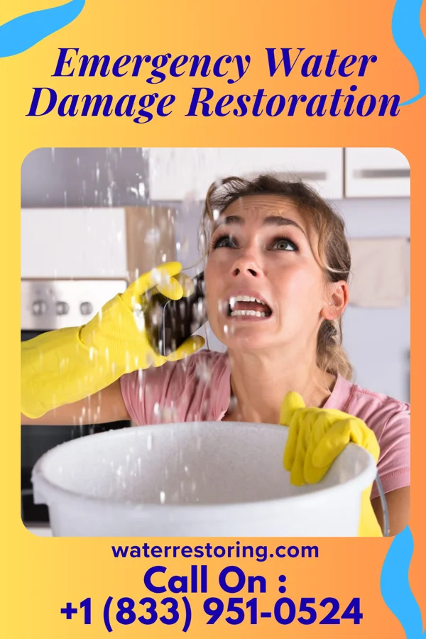 Emergency Water Damage Restoration in Welcome, MN