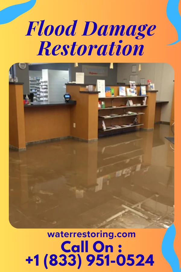 Flood Damage Restoration in Welcome, MN