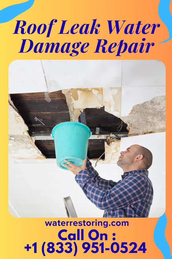 Roof Leak Water Damage Repair in Welcome, MN