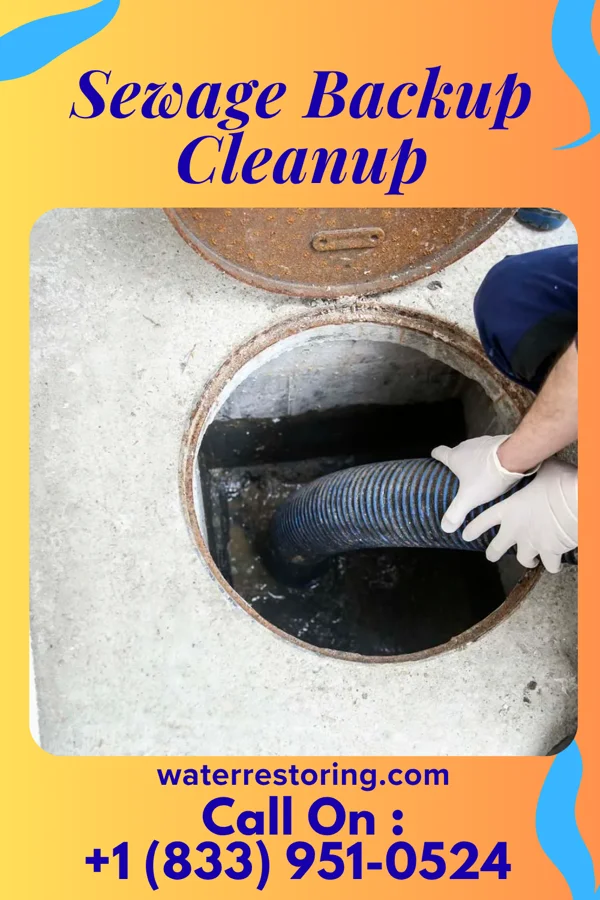 Sewage Backup Cleanup in Welcome, MN